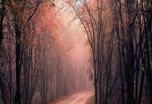 tk体育:火箭暗藏顶级射手!被遗忘的第4前锋33分建功,收官阶段可进轮换.