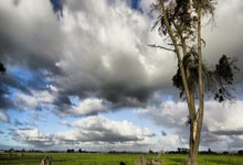 全球连线 | 以赛会友 国际赛事训练营汇聚新疆.