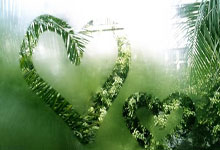 绿军轮休三巨头仍横扫开拓者5连胜 塔图姆30+9+9单节轰18分.