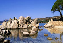 张帅/梅拉德诺维奇2-0横扫晋级 闯入澳网女双八强.